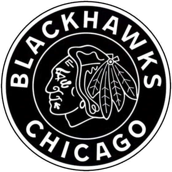 Chicago Blackhawks 2019 Special Event Logo iron on transfers for clothing